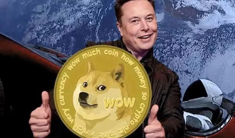 狗狗币创下年内新高，上扬幅高达15.14%，还能追吗？的简单介绍-九游体育