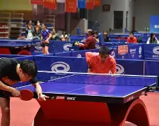 乒乓球夜战：祁连银狐队强势横扫河套猎隼队，速度优势明显教练团队居功至伟-九游体育官网